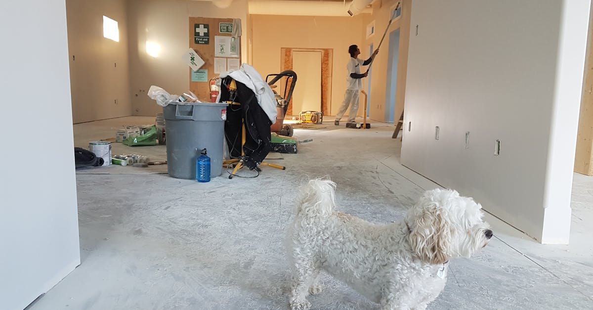 rénovation intérieure : transformez votre espace de vie avec des solutions sur mesure pour un intérieur moderne, fonctionnel et esthétique. découvrez nos conseils et inspirations pour réussir votre projet de rénovation.