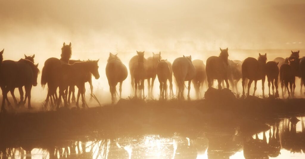 découvrez la camargue, une région sauvage du sud de la france célèbre pour ses paysages spectaculaires, ses chevaux blancs, ses flamants roses et ses traditions uniques. partez à l’aventure entre nature et culture !
