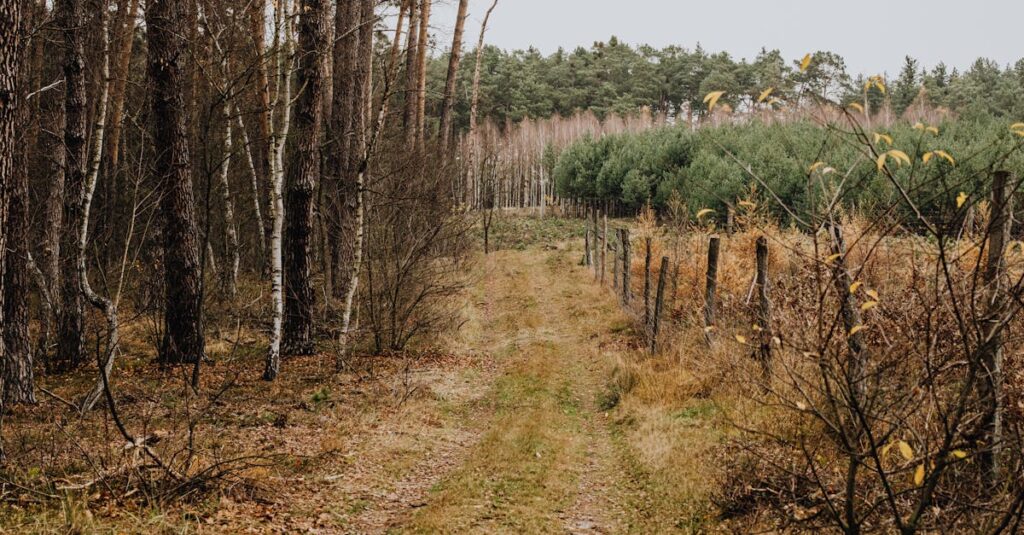 trouvez facilement un stationnement gratuit près de chez vous ou lors de vos déplacements. découvrez nos conseils et astuces pour profiter du free parking en ville et économisez sur les frais de stationnement !