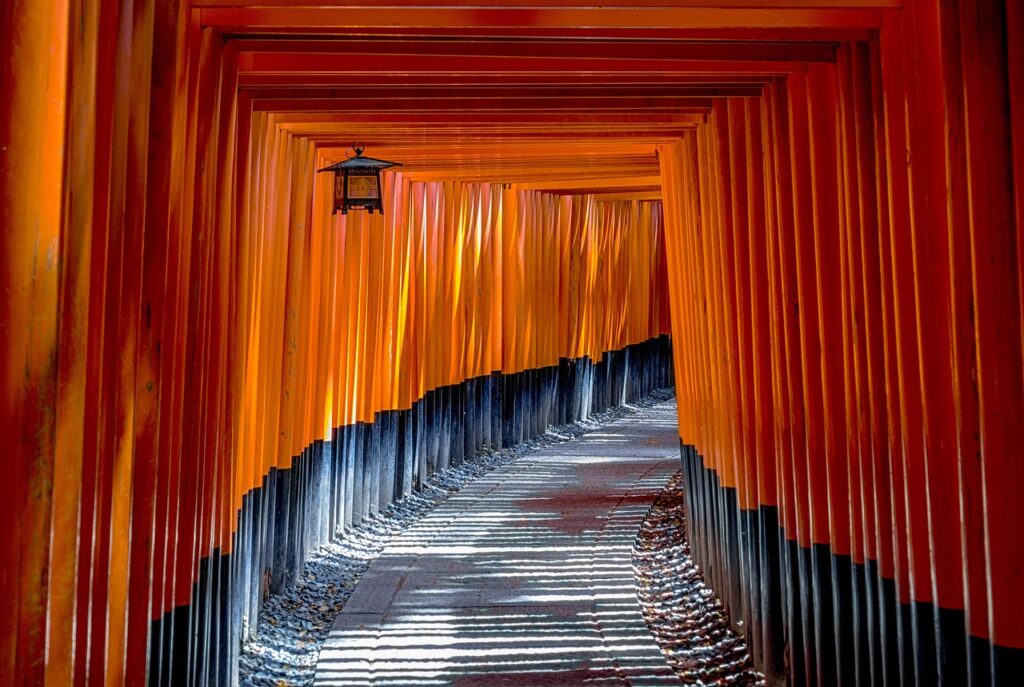 découvrez la richesse de la culture japonaise : traditions, arts, gastronomie, histoire et modernité. plongez dans un univers fascinant entre héritage ancestral et innovation.