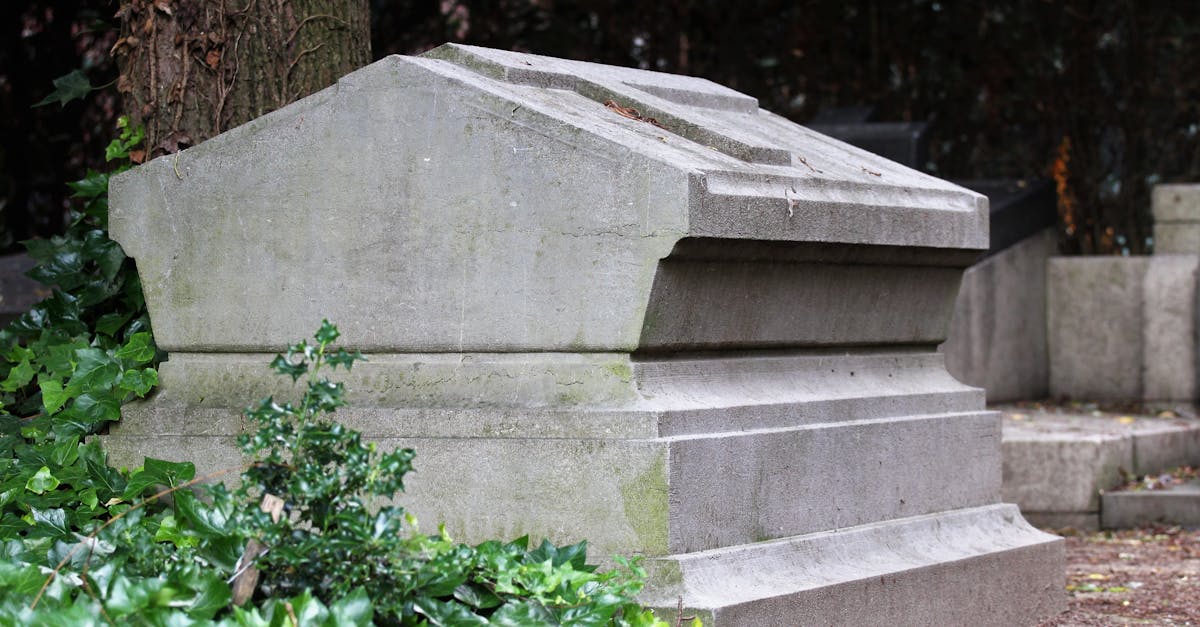 consultez les avis de décès récents pour honorer la mémoire de vos proches et rester informé des dernières annonces funéraires.