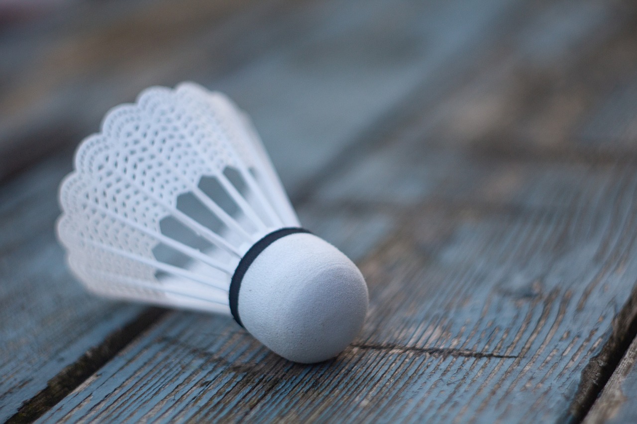 découvrez tout sur le badminton : règles, conseils, équipements et astuces pour améliorer votre jeu, que vous soyez débutant ou joueur confirmé.