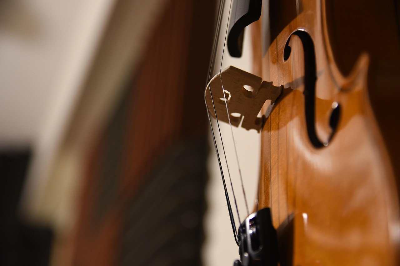 assistez à un concert classique exceptionnel mettant en lumière des œuvres intemporelles interprétées par des musiciens de talent.
