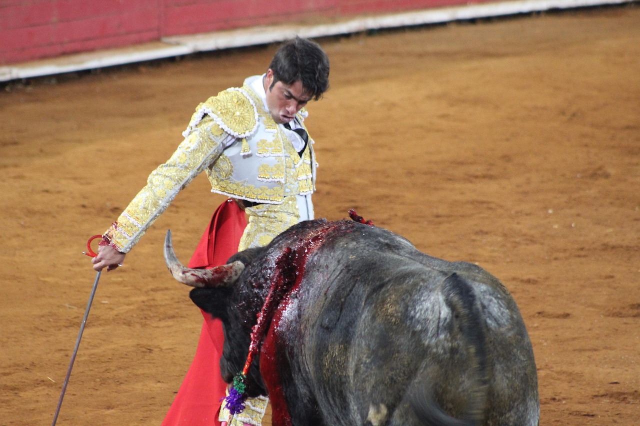 découvrez tout sur le salaire d'un matador : rémunération, facteurs influençant les revenus et aspects financiers de cette profession emblématique.