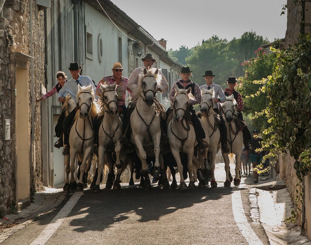 découvrez la camargue, région unique en france, célèbre pour ses paysages sauvages, ses chevaux blancs, ses flamants roses et sa culture authentique.
