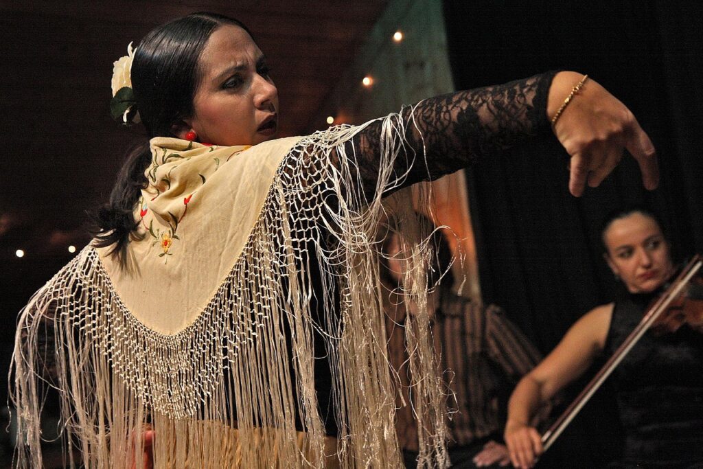 découvrez l'art passionné du flamenco, une danse et musique traditionnelle espagnole pleine d'émotion, de rythmes envoûtants et de mouvements expressifs.