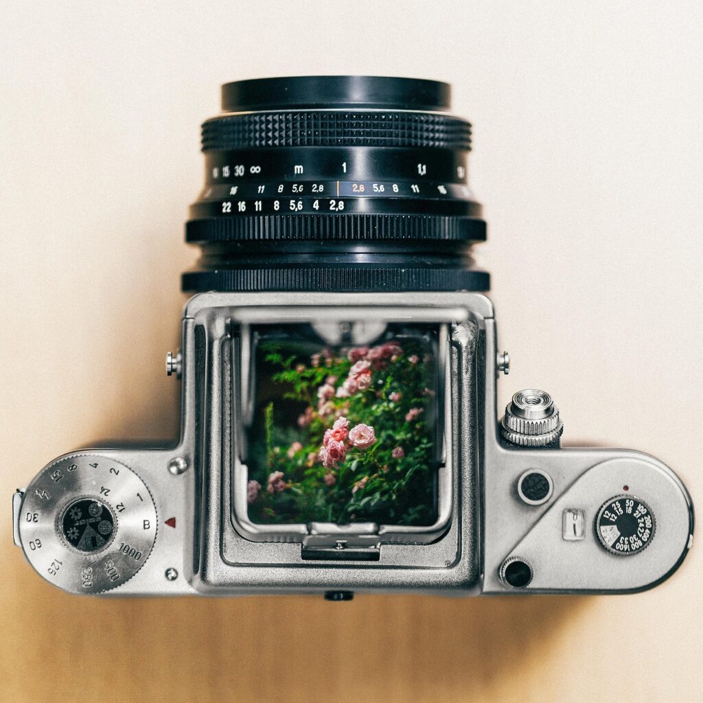 découvrez l'art de la photographie : conseils, techniques et inspirations pour capturer des images extraordinaires.